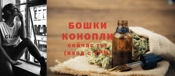 спиды Гусев