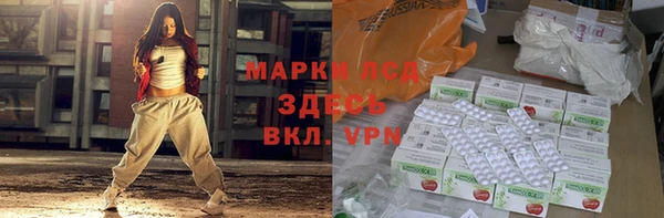 сатива Ельня