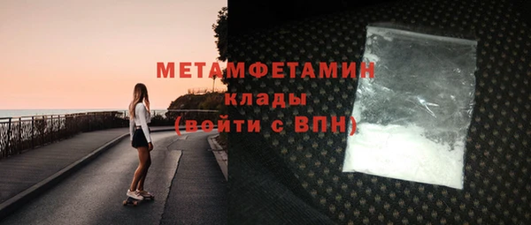 сатива Ельня