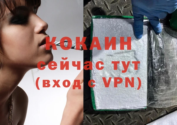 спиды Гусев