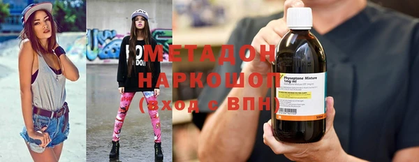 сатива Ельня