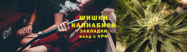 сатива Ельня