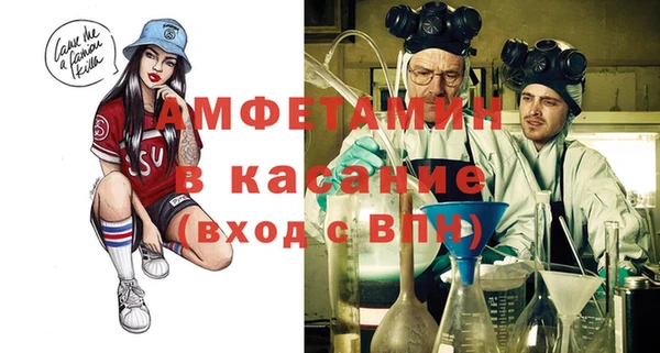 сатива Ельня