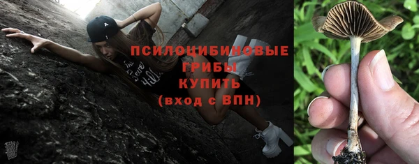 mdpv Гусь-Хрустальный