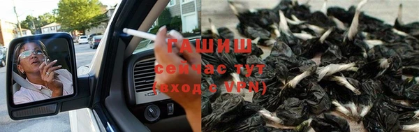 спиды Елабуга