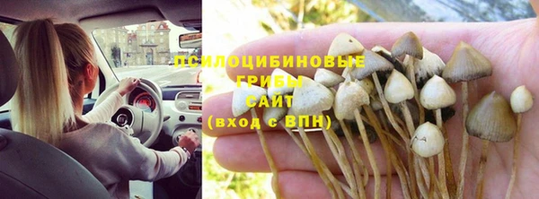 наркотики Елизово